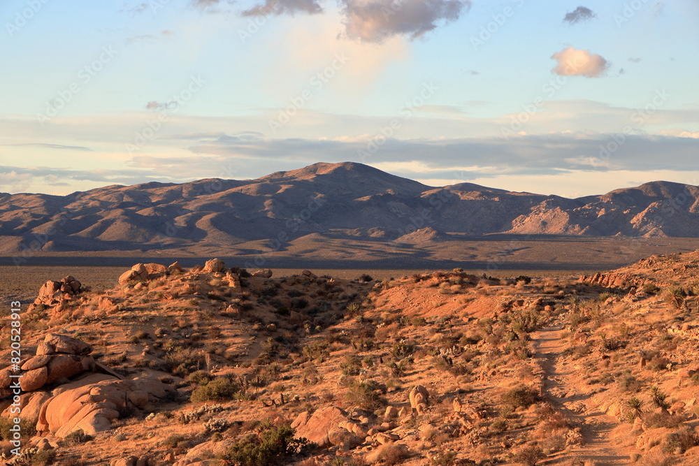 Naklejka premium Eagle Mountain and the Colorado desert at sunset, Joshua Tree National Park, California