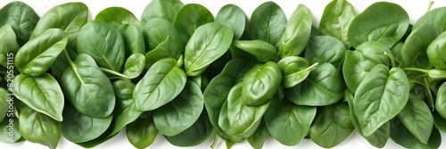 spinach leaves on border side on plain white background copyspace banner from Generative AI