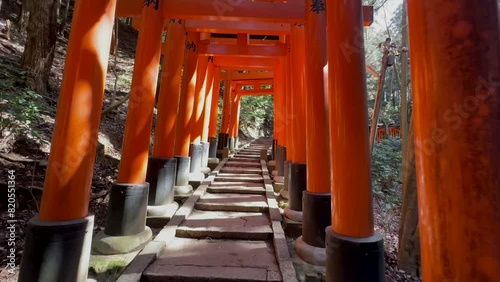 Slow walk through posts and pillars of Fushimi Inari Taisha in Kyoto Japan. photo