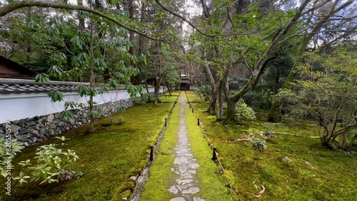 Moss Garden Of Saihoji (Kokedera) Temple In Kyoto, Japan. wide shot photo