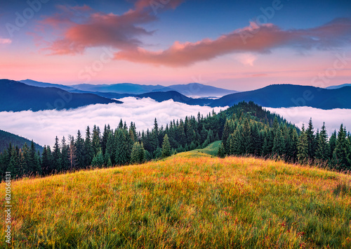 Fantastic summer sunrise in Carpathian mountains with a sea of fog in the walley. Wonderful morning scene of Lisniv ridge, Ukraine, Europe. Beauty of nature concept background. © Andrew Mayovskyy