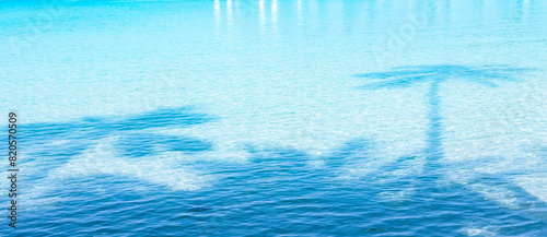 Fototapeta Naklejka Na Ścianę i Meble -  Summer palm tree  shadow and Tropical beach with blue  of seashore background