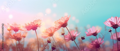 pink flowers and sun in the sky hd wallpaper  pastel toned  rainbowcore  motion blur panorama  light turquoise and light amber.