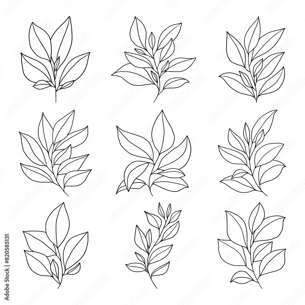 Set of branch and leaves vector Set of branch and leaves vector
