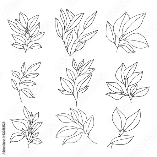 Set of branch and leaves vector