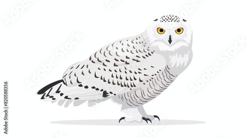 Snowy Owl flat vector illustration. Nyctea scandiaca photo