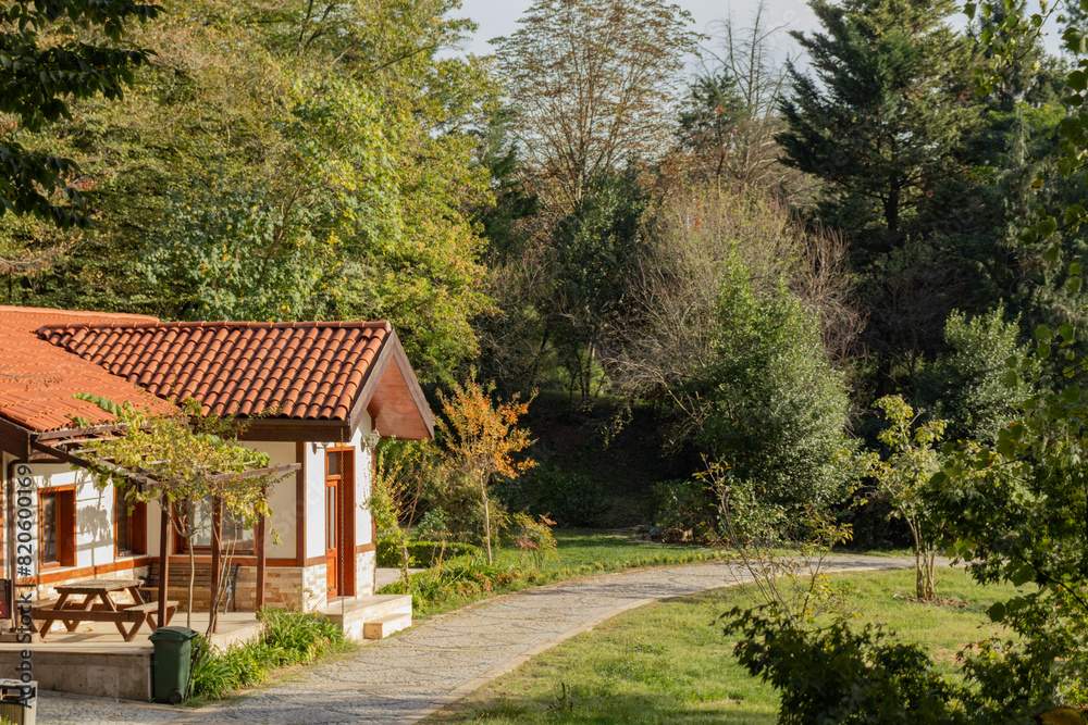 Atatürk Arboretum is a magnificent park where nature shows itself in all its colours Atatürk Arboretum is a magnificent park where nature shows itself in all its colours