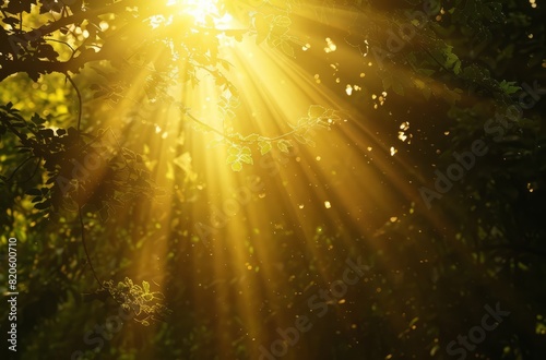 Sunlight breaking through dense forest foliage at dawn - the awakening of the forest