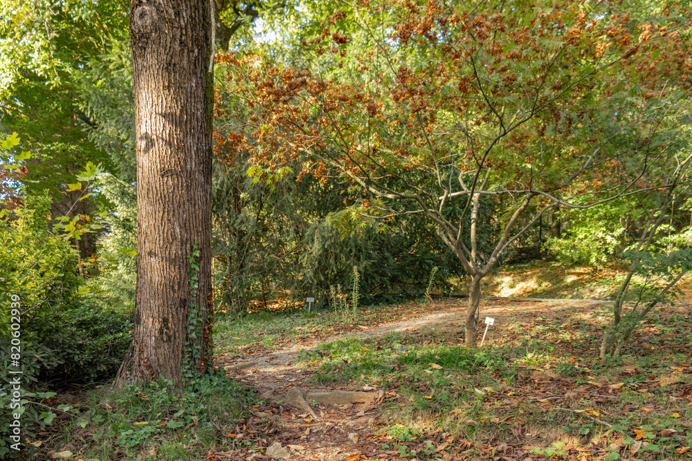Atatürk Arboretum is a magnificent park where nature shows itself in all its colours Atatürk Arboretum is a magnificent park where nature shows itself in all its colours