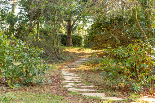 Path or road in Atat  rk Arboretum  a beautiful view among the greenery