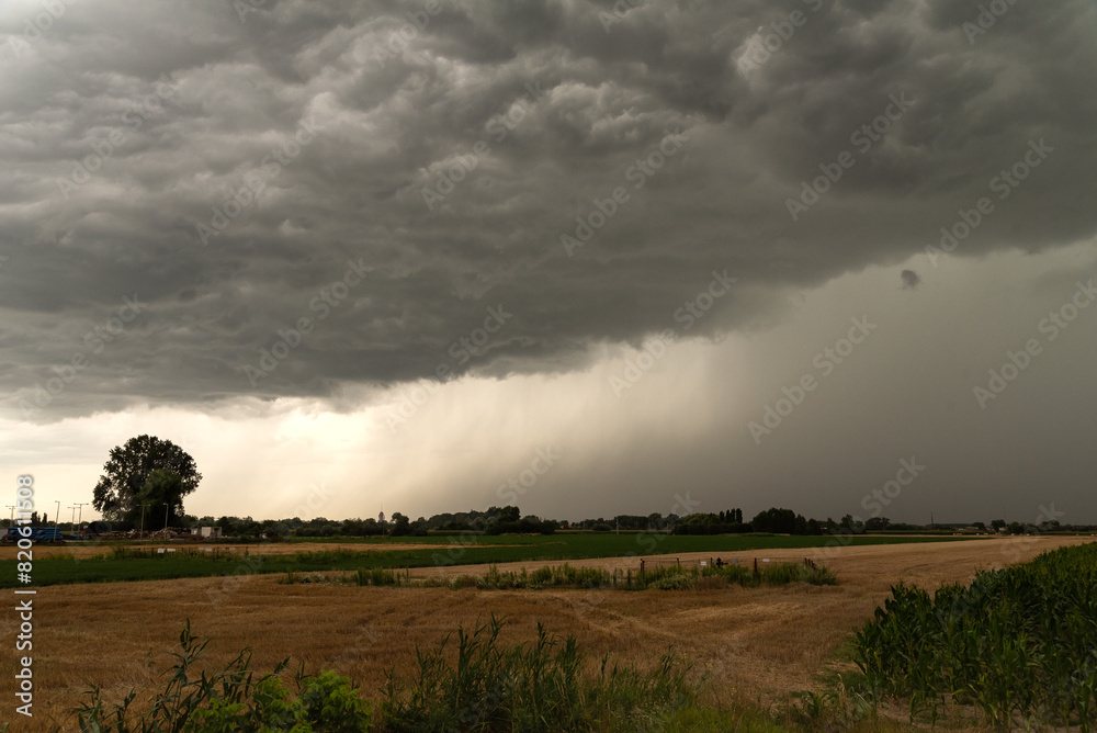 Fototapeta premium storm over the field with heavy rain and rainshower 