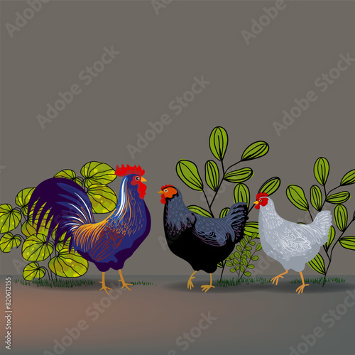 Set of chicken, rooster, hen, poultry farm animal set collection hand drawn vector illustration. Livestock pet domestic animal.