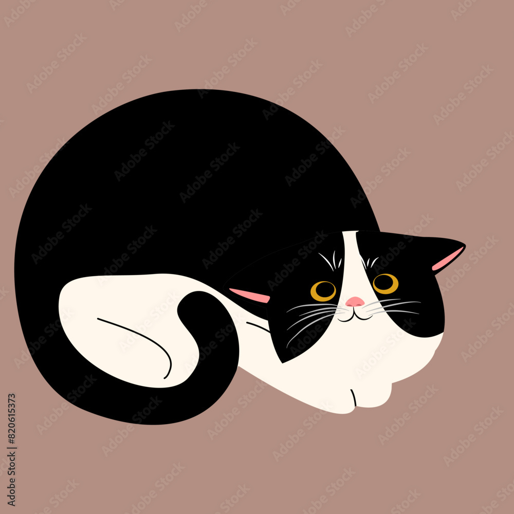 Fototapeta premium illustration, animal, vector, collection, cat, cute, drawing, cartoon, kitty, design, pet, art, character, set, funny, pose, happy, adorable, isolated, background, smile, meow, icon, doodle, kitten,