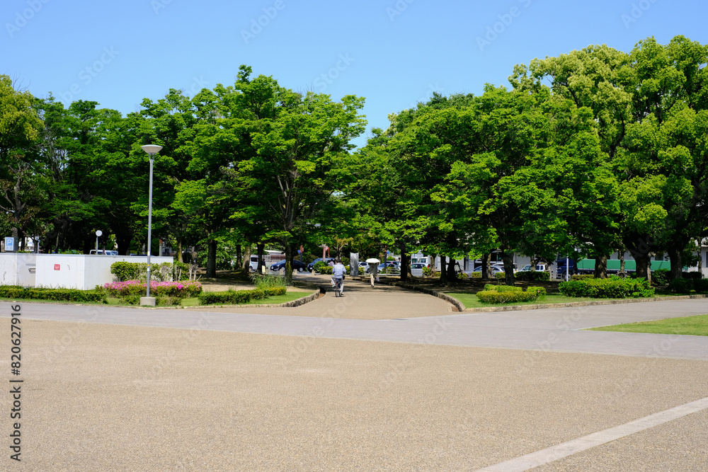 Obraz premium 新緑のアーチ