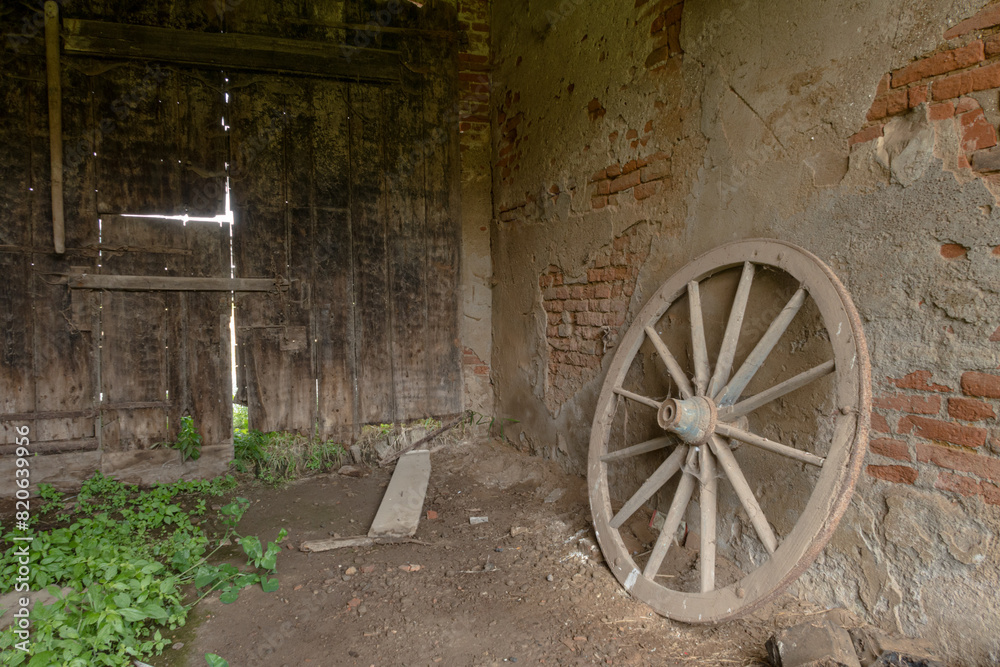 Wheel