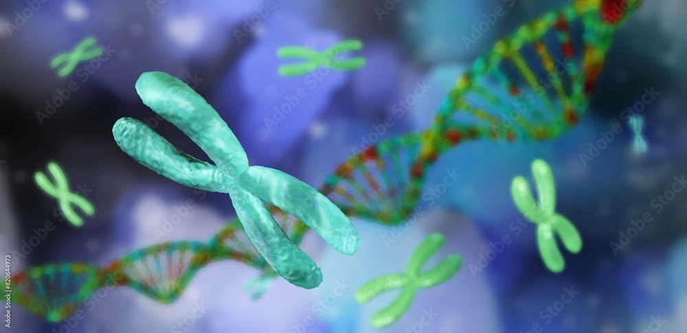Fototapeta premium X chromosome against the background of DNA. Chromosomes and DNA. 3D rendering