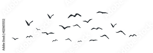 Group of flying birds flock silhouettes, a flock of flying birds