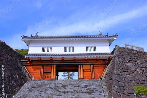  Maizuru Castle Park with cherry blossoms at Marunouchi, Kofu, Yamanashi, Japan photo