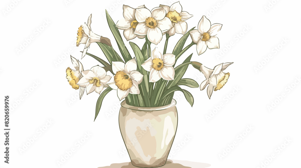 Vase with beautiful narcissus flowers on white background