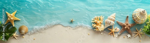 Shells and starfish on the beach. photo