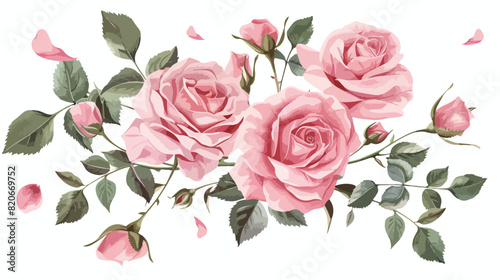 Beautiful pink roses with leaves and petals on white background 