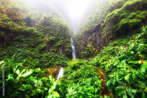 Rainforest waterfall with green vegetation in Flores island, Azores, Portugal