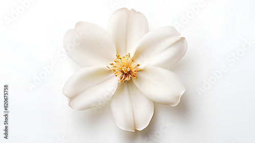 Beautiful flowers bring back memories.