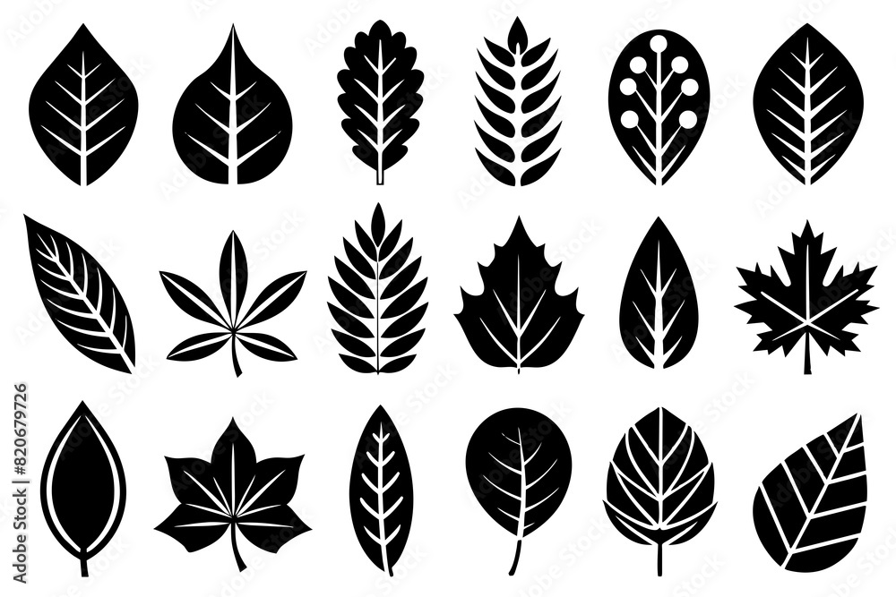 Big set of tropical black leaves. Monstera, fig, palm. Flowers and leaves of the jungle. Vector illustration