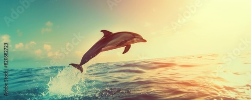Dolphin leaping in summer hues copy space, ocean adventure, dynamic, Silhouette, turquoise sea