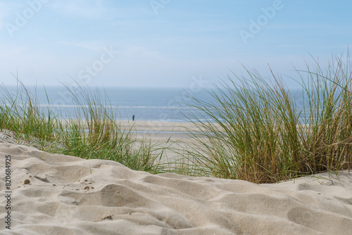 Fototapeta Naklejka Na Ścianę i Meble -  A serene sand beach adorned with patches of grass and gentle sand dunes bathed in the soft light of the sun, creating a peaceful and tranquil scene.