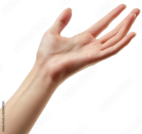 hands isolated on white