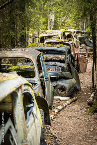 A row of rotten and rusty classic combustion car vehicles in a forest