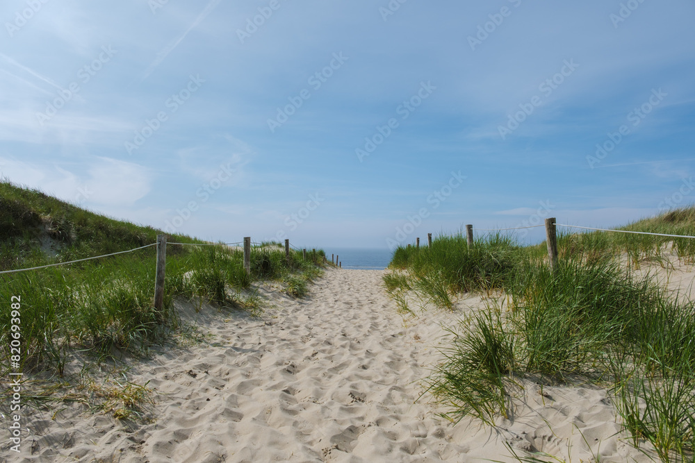 A winding path traversing through picturesque sand dunes leads to the pristine beach on the Texel Island in the Netherlands.