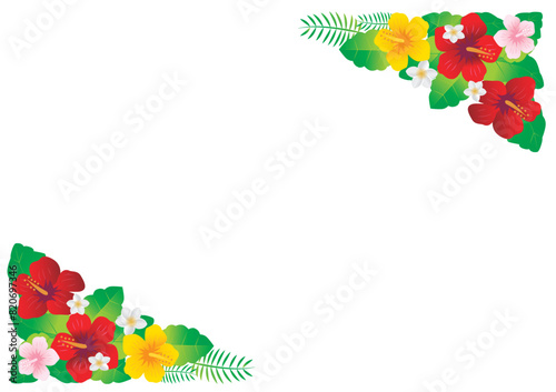 南国イメージイラスト