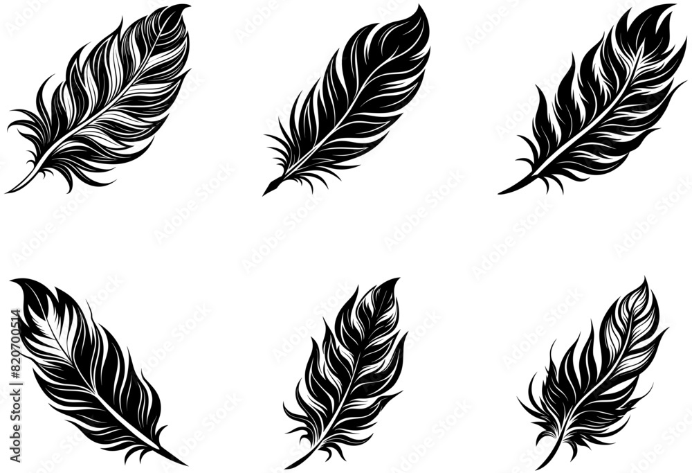 set of feathers vector set of feathers vector