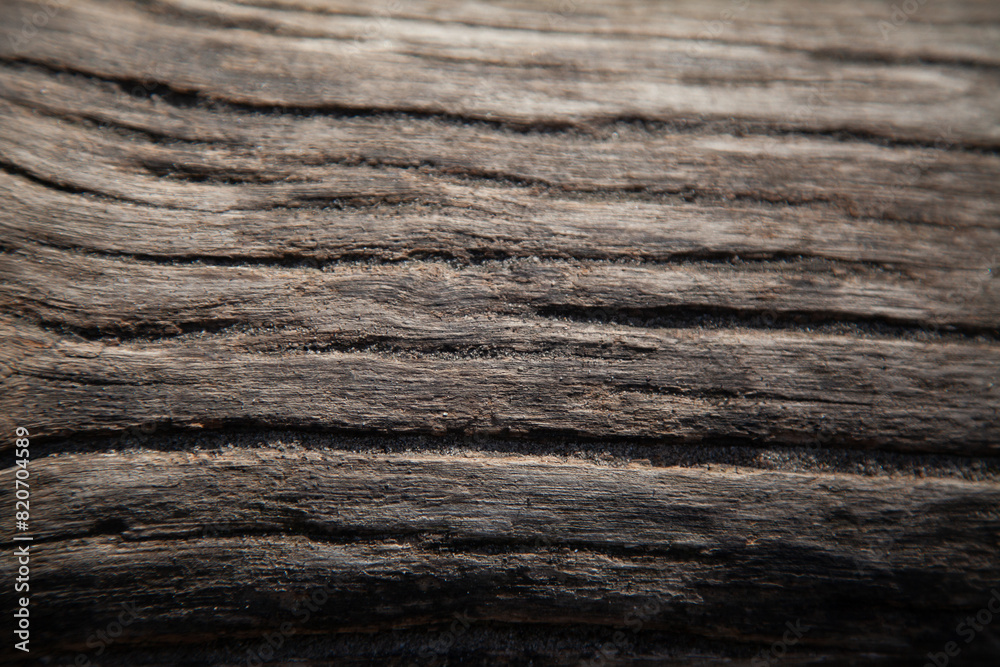 Fototapeta premium texture