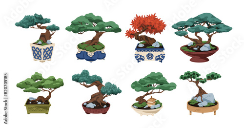 Bonsai, Japanese trees in pots. Traditional Asian miniature garden, zen nature in container. Japan leaf plants, traditional oriental art. Flat vector illustration isolated on white background