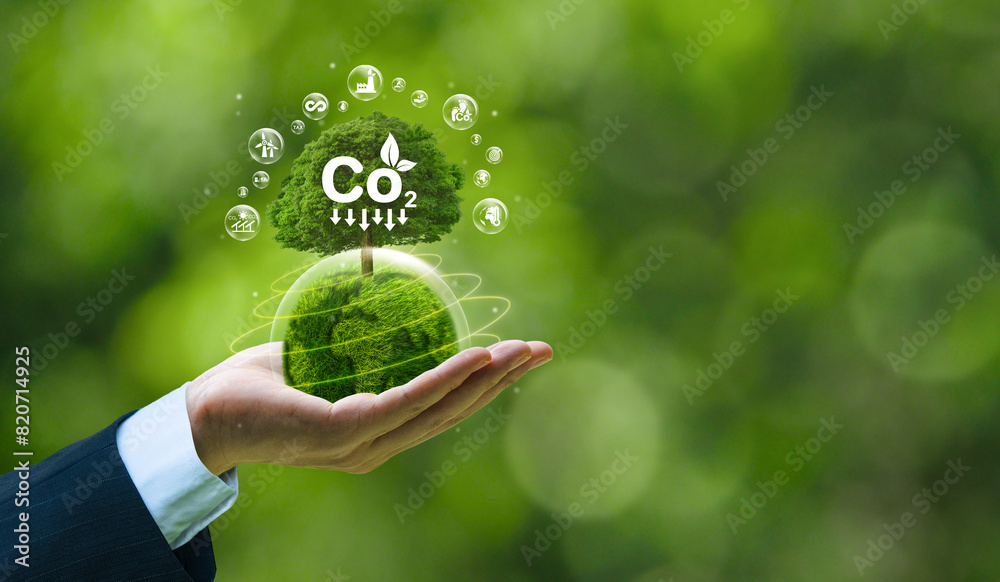 Businessman's hands hold green globe with trees for ESG, carbon co2 and net zero. environmentally friendly carbon saves our planet, world environment day, earth day and climate change Businessman's hands hold green globe with trees for ESG, carbon co2 and net zero. environmentally friendly carbon saves our planet, world environment day, earth day and climate change