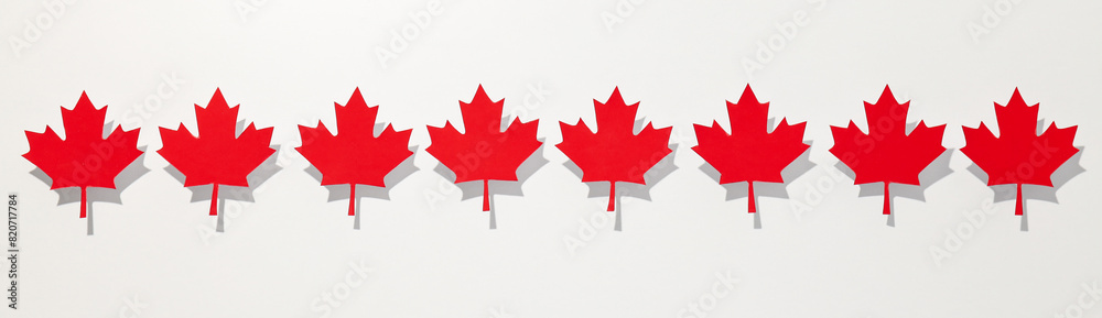 Red maple leaves on a white background Red maple leaves on a white background