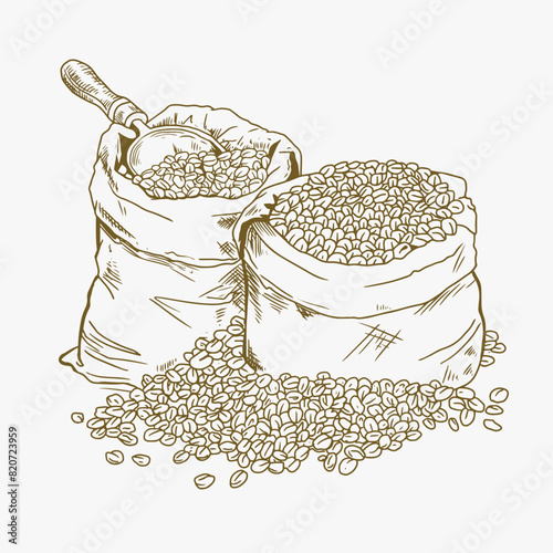 coffee hand drawn icon set vector