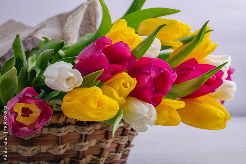 A close-up of a basket with colorful blooming tulips. Holiday card. Copyspace.