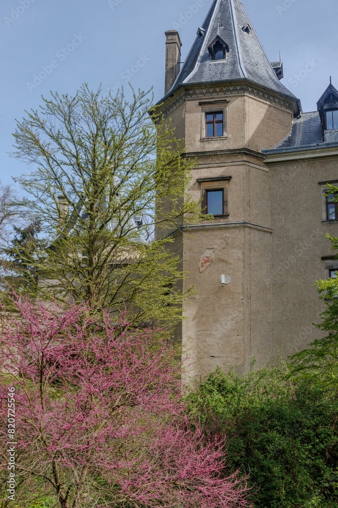 Fototapeta premium Zamek w Polsce