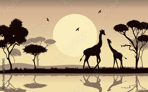 African savannah with giraffes near the water vector silhouette