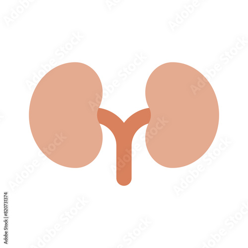 Human renal system organ, human organ, icon of kidneys