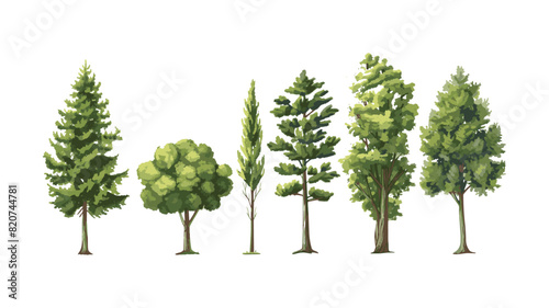 Trees vector illustration isolated transparent background