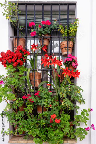 A traditional window adorned with colorful flower pots captures the charm of Carmona, Andalusia, Spain photo
