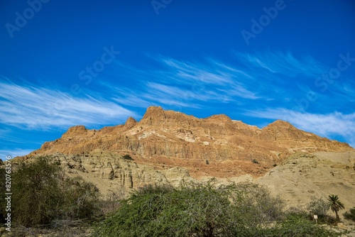 a desert with a cliff and trees against the blue sky