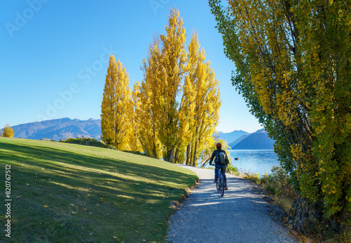 Obraz na płótnie Tourist riding the bike on the Millennium track along the Wanaka lakeside. Autumn in Wanaka. New Zealand. w salonie