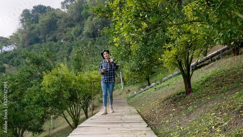 Asian woman in blue plaid shirt and hat walking in orange orchard while talking on smartphone and holding tablet. Represents small business owner managing online sales in agriculture.