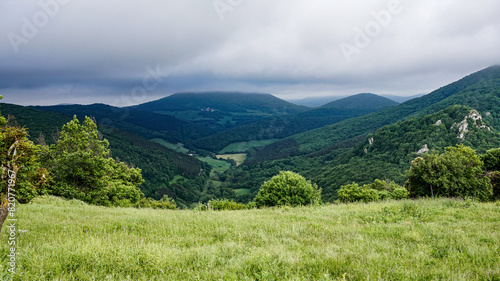Landscape of a forested mountain in northern Germany